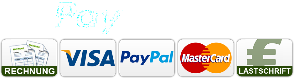 PayPal Plus